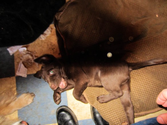 Raud Kennedy - Squirm