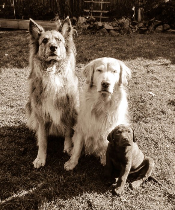 Raud-Kennedy---What-No-Cheese