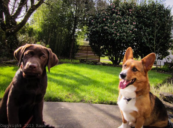 Raud Kennedy - but don't yours get hot