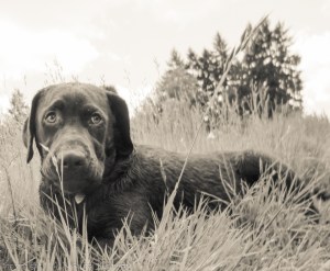 Raud Kennedy - Heroes