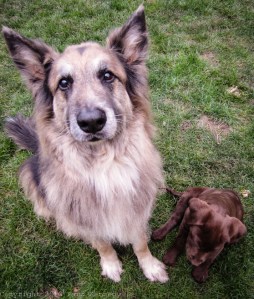 Raud Kennedy - the pinch