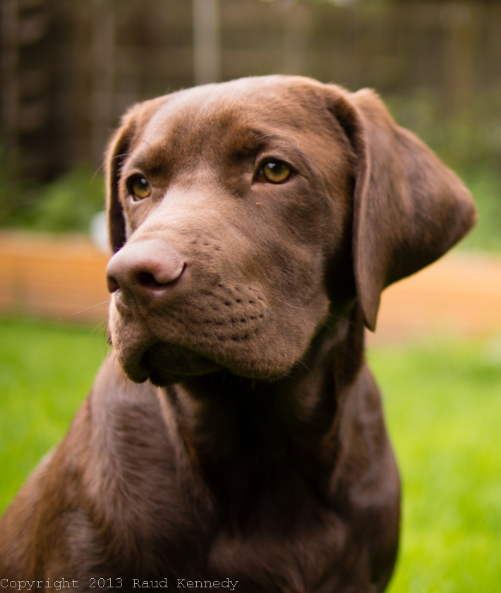 Fleegle taking a break.