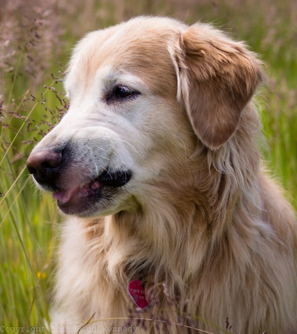 "That tasted yucky."