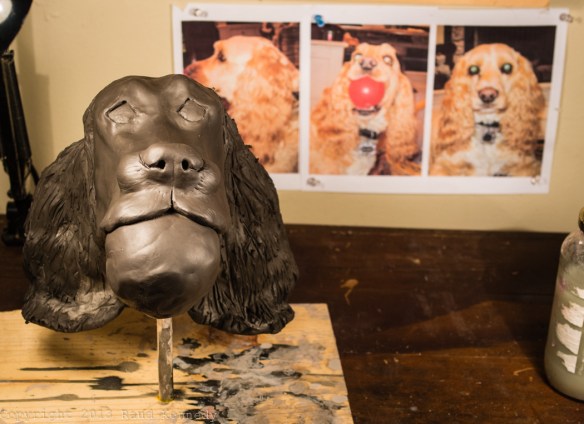 I'm experimenting making a ceramic dog from a series of mugshot photos. 