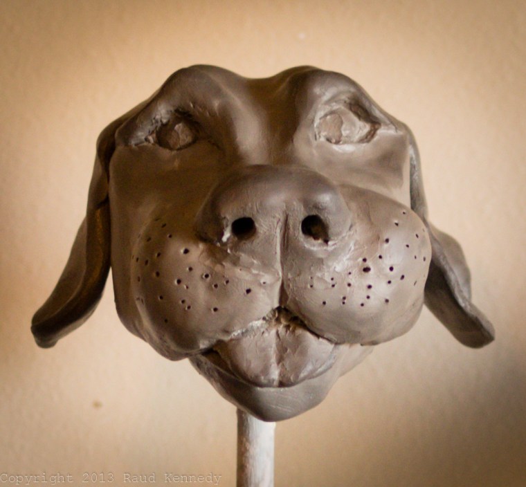 dog fiction - its a girl