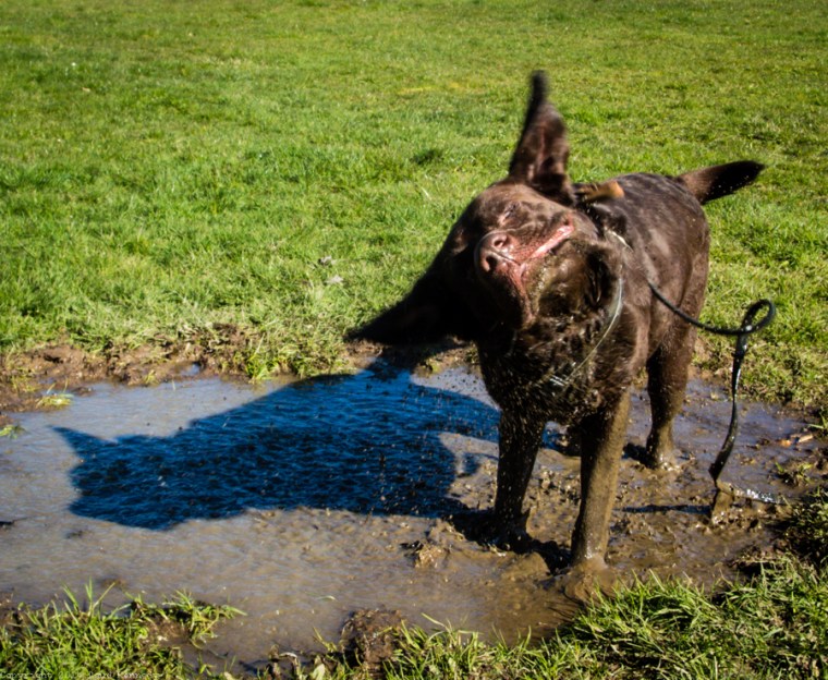 mud bath