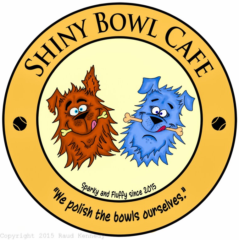 shiny bowl cafe copy-2