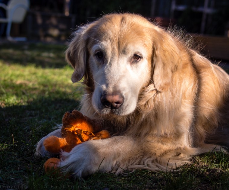 Sadie and her bear