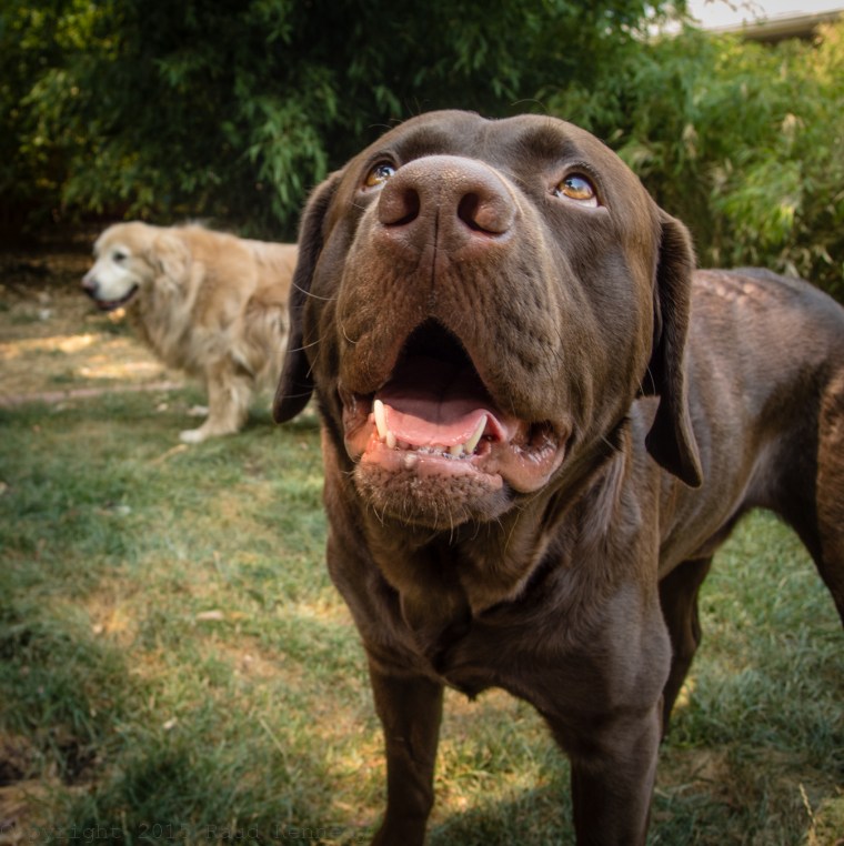 This shot captures Fleegle's outlook on life really well.