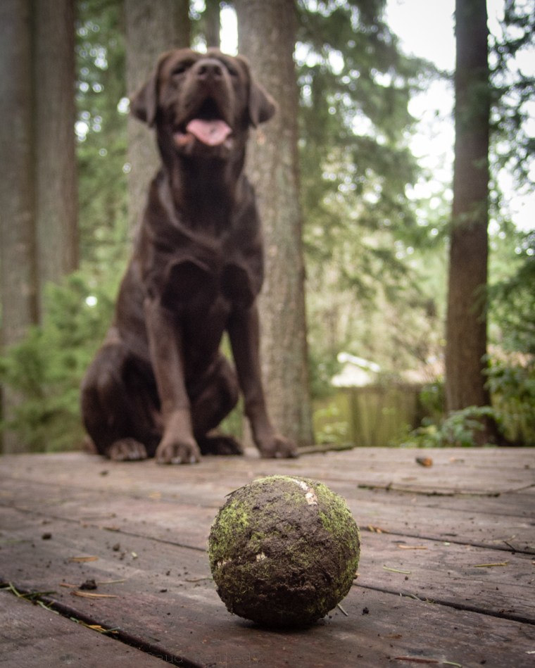 What would the ball say if it could speak? "Save me, the mouth is coming again."