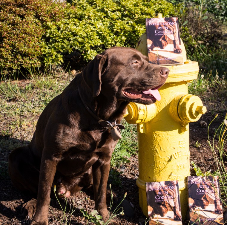 Fleegle Holds a Book Signing